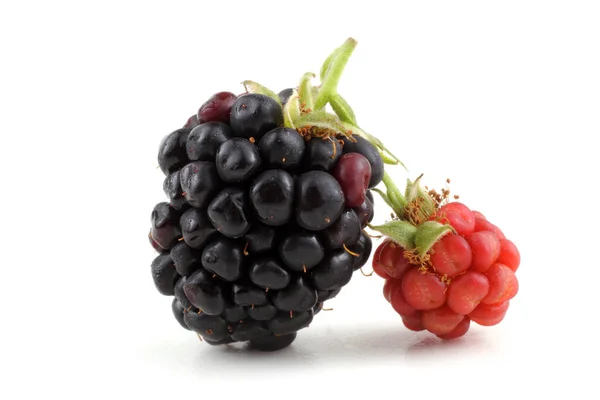 Reife Und Unreife Brombeeren Auf Weißem Hintergrund — Stockfoto