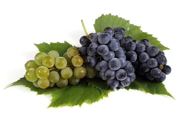 Groene Blauwe Wijndruiven Voor Rode Witte Wijnen — Stockfoto