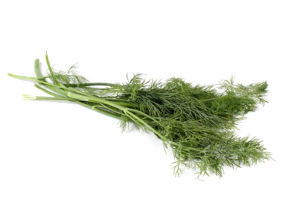 Dill Isolado Branco — Fotografia de Stock