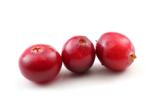 Tutup Dari Cranberry Asam Segar — Stok Foto