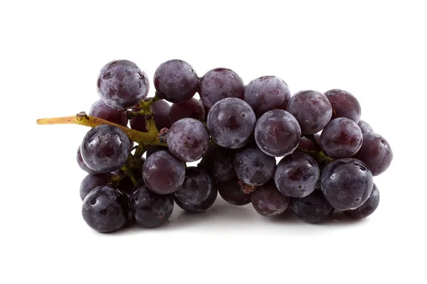 Grappe Raisins Cuve Noirs — Photo