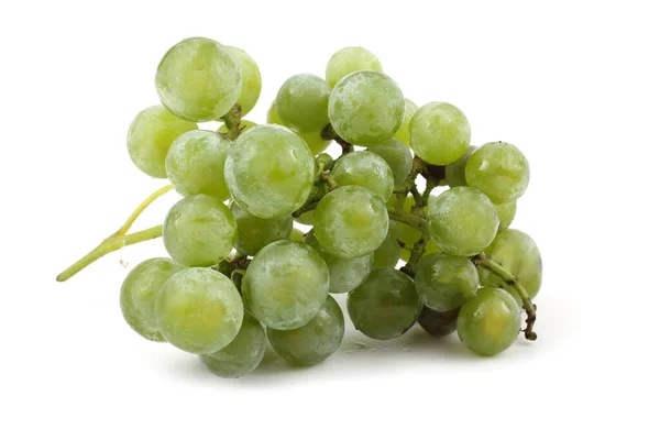 Uva Vino Verde Para Vino Blanco — Foto de Stock