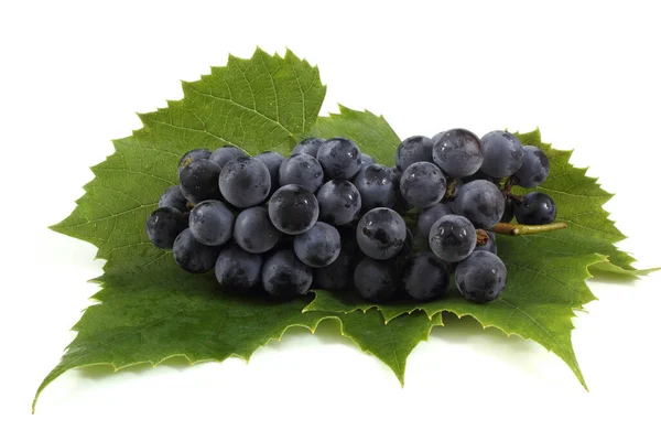 Black Wine Grape Isolated White — Stock Photo, Image
