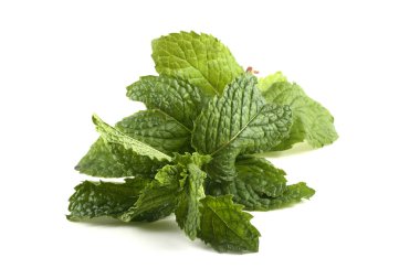 Beyaz arkaplanda nane yaprakları