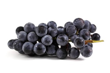 Siyah şarap üzümü beyaz üzerine izole edilmiş.