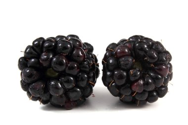 Beyaz arka planda olgun böğürtlenler