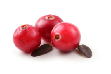 Taze ekşi yaban mersinlerini kapatın.