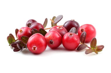 Taze ekşi yaban mersinlerini kapatın.