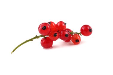 Beyaz arkaplanda kırmızı frenk üzümü var.