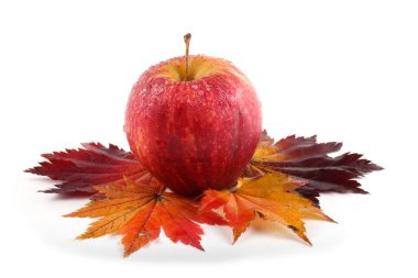 Sonbahar yaprakları beyaz arkaplanda yalıtılmış elmalarla