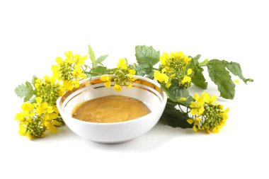 Kuru Hardal beyazda izole edildi