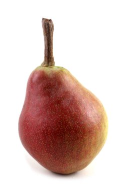 Taze olgun armutlara yakın.