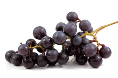 Siyah şarap üzümü beyaz üzerine izole edilmiş.