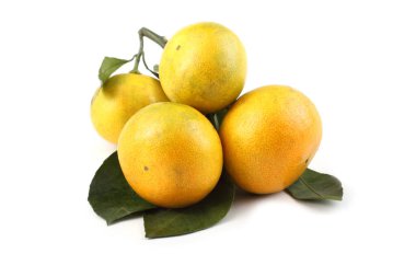 Mandalina portakalı beyaza izole edilmiş.