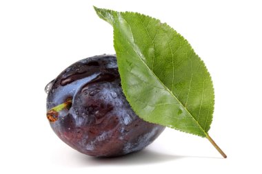 Beyaz üzerine izole edilmiş erik meyvesi