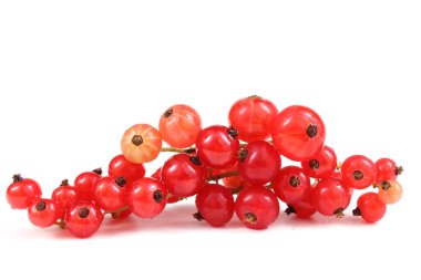 Beyaz arkaplanda kırmızı frenk üzümü