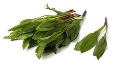 Beyaz arkaplanda taze yeşil ıspanak yaprakları