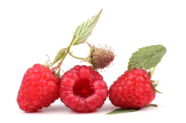 Beyaz arka planda taze ahududu