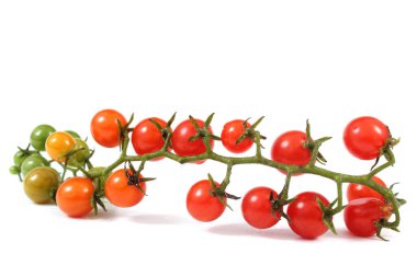 Beyaz arka planda lezzetli olgun domatesler