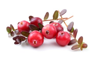 Taze ekşi yaban mersinlerini kapatın.