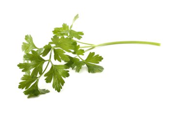 Beyaz arkaplanda izole edilmiş bir maydanoz demeti