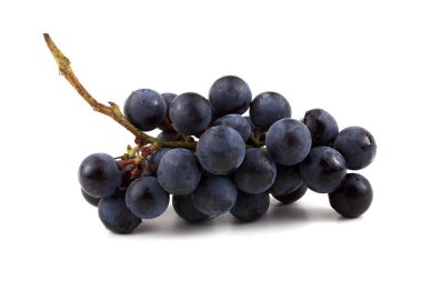 Bir demet siyah şarap üzümü