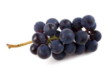 Bir demet siyah şarap üzümü