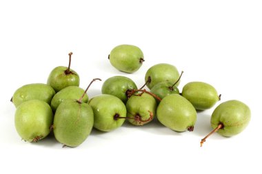 Küçük kiwies (aktinidia kolomikta)