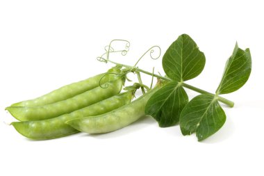 Beyaz arkaplanda yeşil bezelyeler izole