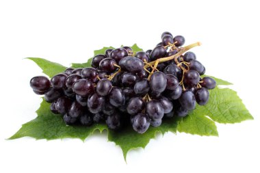 Beyaz arka planda izole edilmiş taze üzümler.