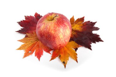 Taze olgun elmaları kapatın.