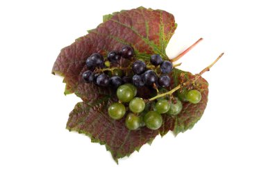 Sonbahar yaprağında siyah beyaz üzüm.