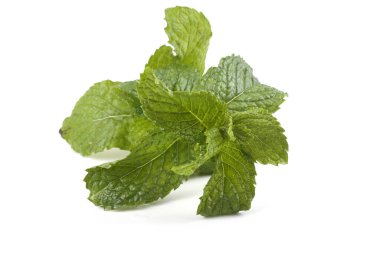 Beyaz arkaplanda nane yaprakları