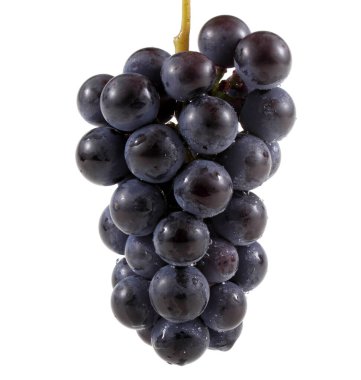 Siyah şarap üzümü beyaz üzerine izole edilmiş.