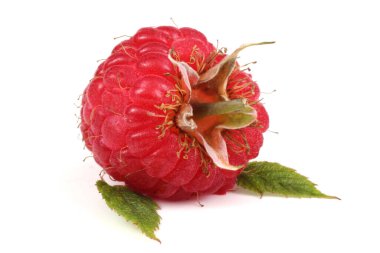 Olgun ahududular beyaz arka planda izole edilmiş.