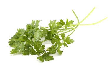 Beyaz arkaplanda izole edilmiş bir maydanoz demeti
