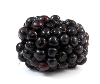 Beyaz arkaplanda olgun böğürtlen