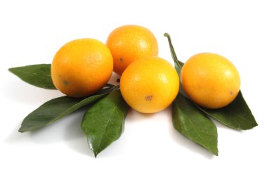 Beyaz arkaplanda yaprakları olan mandalinalar