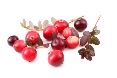 Taze ekşi yaban mersinlerini kapatın.