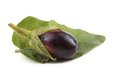 Olgun ve taze patlıcanlara yakın.