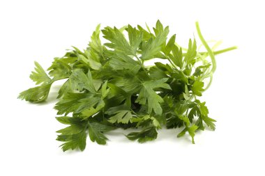 Beyaz arkaplanda izole edilmiş bir maydanoz demeti
