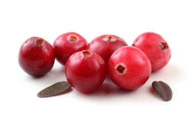 Taze ekşi yaban mersinlerini kapatın.