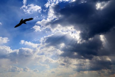 Kabarık bulutlu gökyüzü arkaplanı