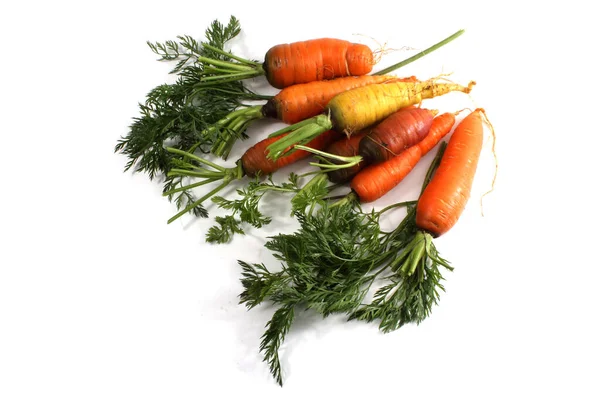 Diferentes Zanahorias Aisladas Blanco —  Fotos de Stock