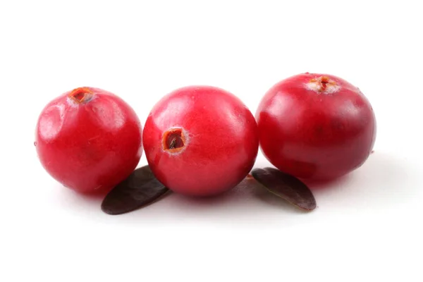 Close Cranberries Azedas Frescas — Fotografia de Stock