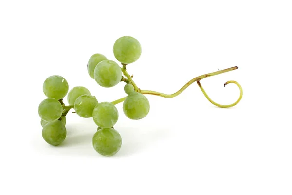 Yeşil Şarap Üzümü Beyaz Şarap Için — Stok fotoğraf