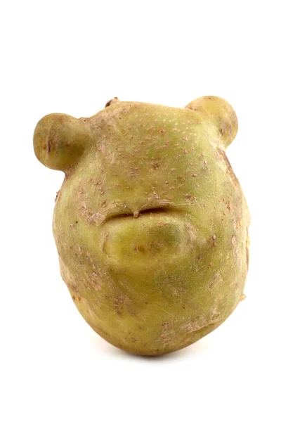 熊の形をした面白いジャガイモ — ストック写真