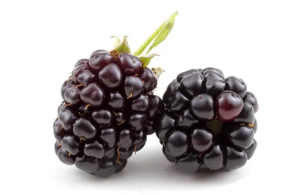 Ripe Blackberries White Background — Stock Photo, Image