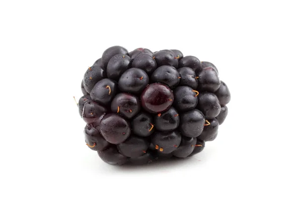 新鲜的黑莓收获 靠近点 — 图库照片