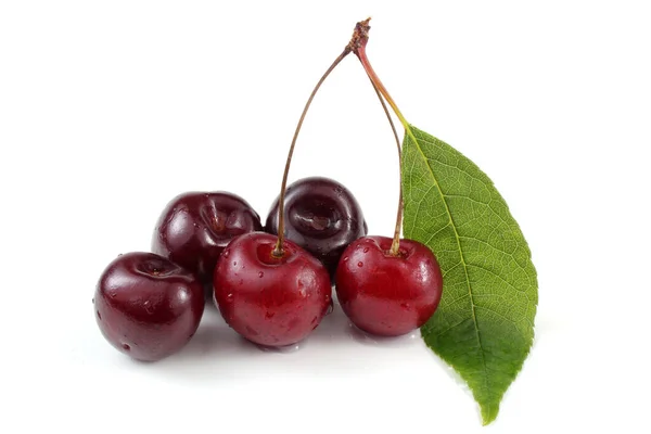 Cherries Isolated White Background — Stock Photo, Image